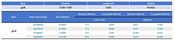 gyrB gene mutation 분석 결과