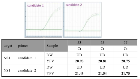 Yellow fever virus gradient real time PCR 결과