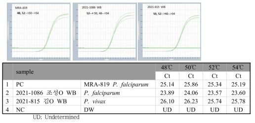 모든 Plasmodium 진단용 18s RNA gradient real-time PCR 결과