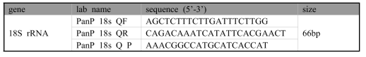 모든 Plasmodium reference real time PCR 정보