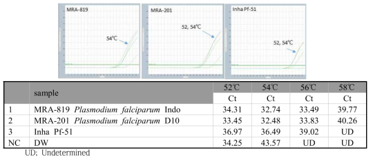 P. falciparum specific gradient real-time PCR 결과