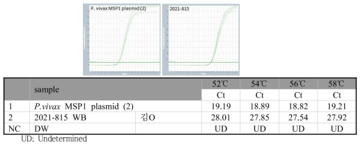 P. vivax specific gradient real-time PCR 결과