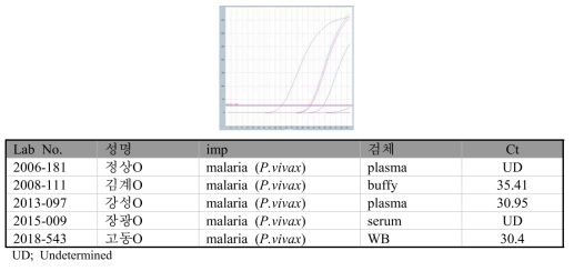 P. vivax specific real-time PCR 결과