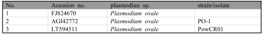 P. ovale MSP1 gene의 accession no.
