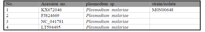 P. malariae MSP1 gene의 accession no