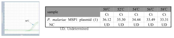 P. malariae specific gradient real-time PCR 결과