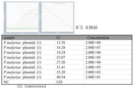 P. malariae specific real-time PCR standard curve 결과