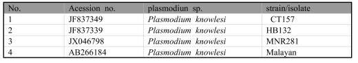 P. knowlesi MSP1 gene의 accession no