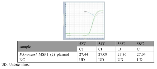 P. knowlesi specific gradient real-time PCR 민감도 실험 결과