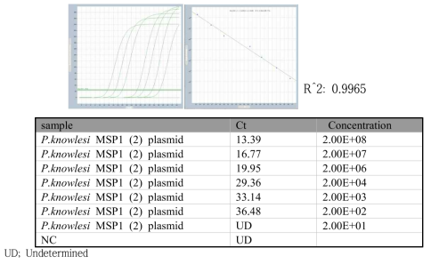 P. knowlesi specific real-time PCR standard curve 결과