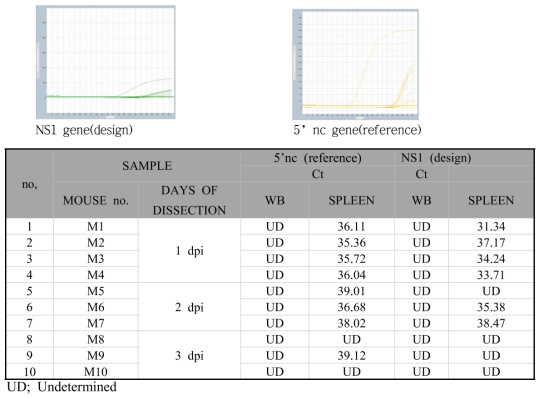 동물감염모델 대상으로 한 YFV 검출용 real time PCR 결과