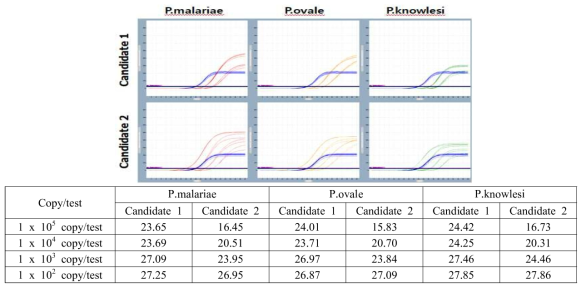 P. malariae, P. ovale, P. knowlesi multiplex real time PCR