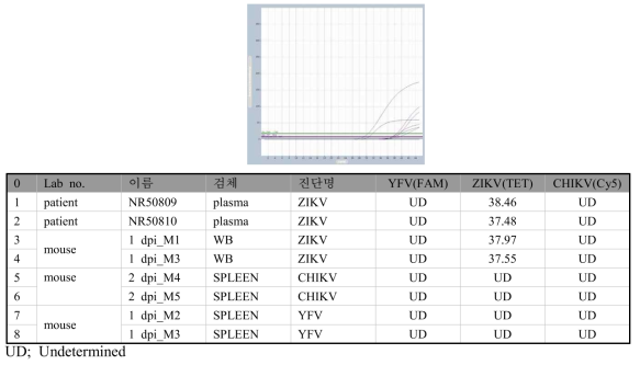 ZIKV, CHIKV, YFV multiplex real time PCR 결과