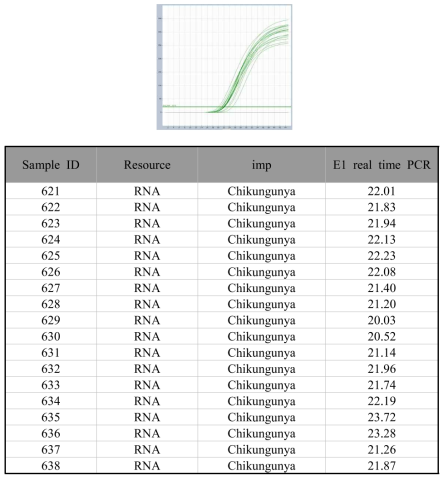 INID-K에서 받은 치쿤구니야열 검체의 PCR 결과