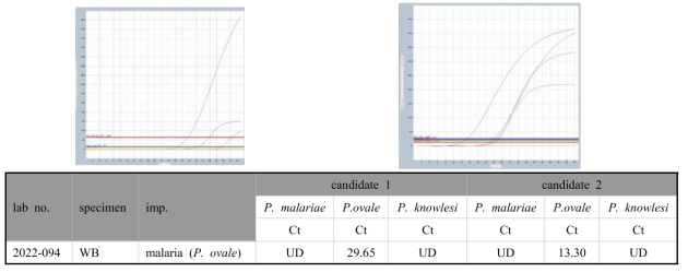 말라리아 2(P. ovale, P. malariae, P. knowlesi specific) multiplex real time PCR 결과