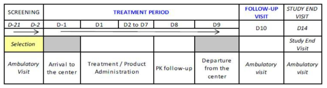 다중용량상승시험에서 Study plan