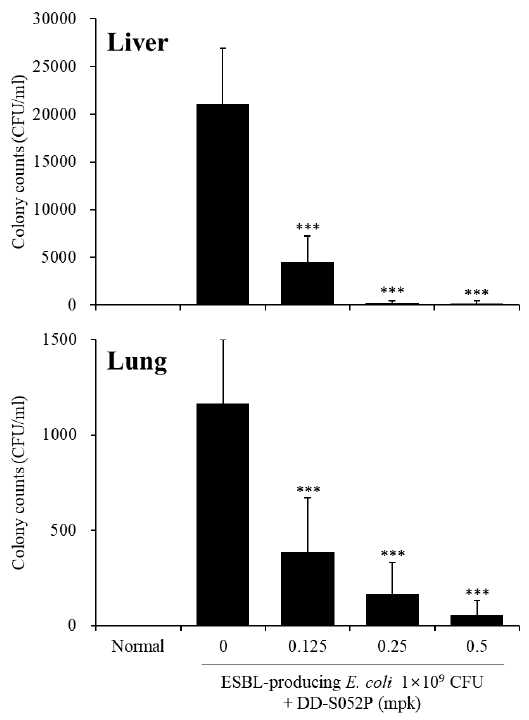 DD-S052P의 in vivo 항균활성 효과 (ESBL-producing E. coli )