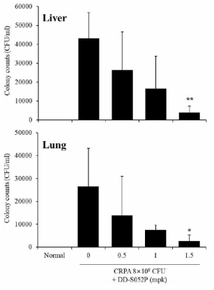 DD-S052P의 in vivo 항균활성 효과 (CRPA)