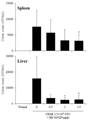 DD-S052P의 in vivo 항균활성 효과 (CRAB)