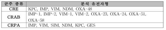 분석 대상 카바페넴 분해효소 유전자형