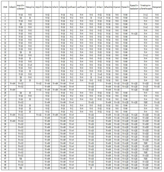 CRAB 임상 분리주의 액체배지미량희석법 (MicroScan WalkAway plus System®) MIC 결과