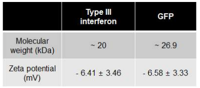인터페론과 초록 형광 단백질의 분자량 및 전하