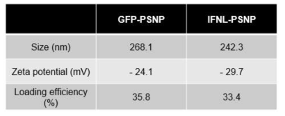 GFP 및 인터페론 람다를 탑재한 폐계면활성제나노입자의 크기, 전하 및 탑재율