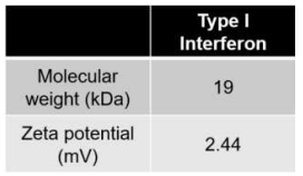 Type I 인터페론 (IFNβ)의 분자량 및 전하량