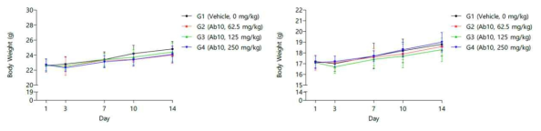 항체 투여 후 체중 변화 수컷 (좌), 암컷 (우)