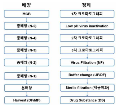 제조공정도