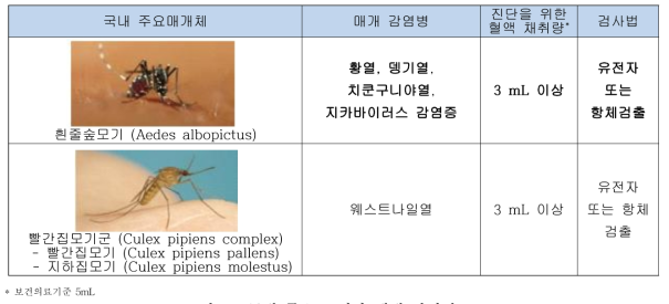 국내 주요 모기와 매개 감염병 도표