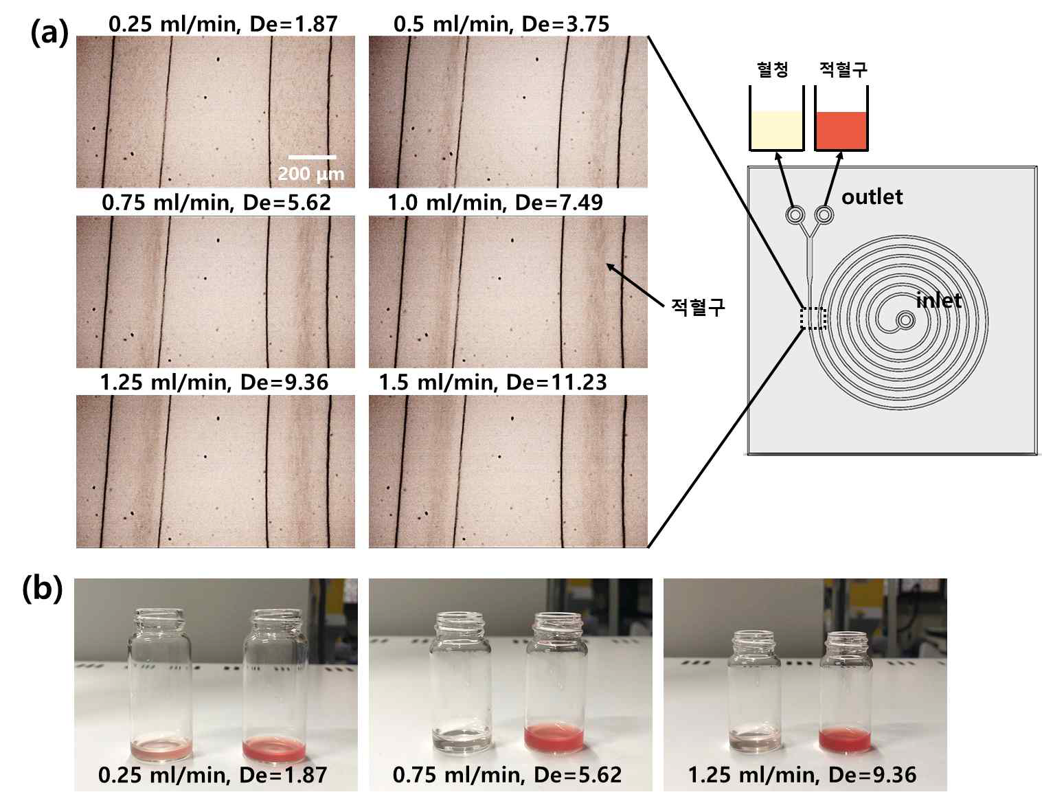 채널 너비가 270 μm인 나선형 구조의 마이크로 플루이딕 칩 채널에서의 유속에 따른 (a)적혈구 위치 및 (b)혈청 분리 결과