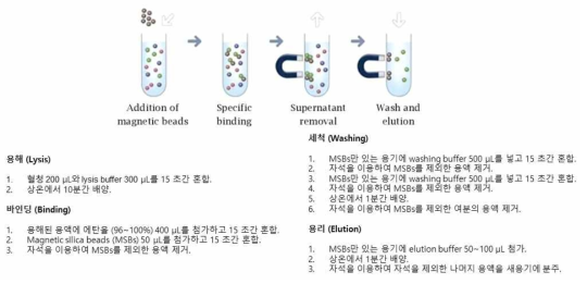 상용화 RNA 추출 키트의 RNA 추출 과정