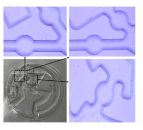 임프린트 인쇄된 디스크 타입 마이크로 플루이딕 칩 상세 이미지