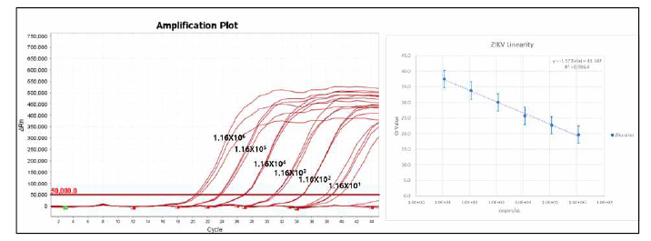 Zika virus Linearity. Zika 바이러스 표준물질을 사용한 linearity 분석결과