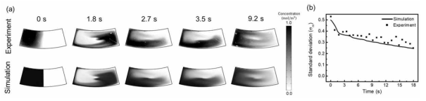 (a) 시뮬레이션과 실험의 농도 비교 (b) 시뮬레이션과 실험의 표준편차 비교