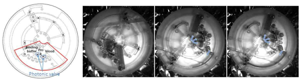 포토닉 밸브를 이용한 밸브의 디스크 칩에서의 lysis step에 대한 유동 실험