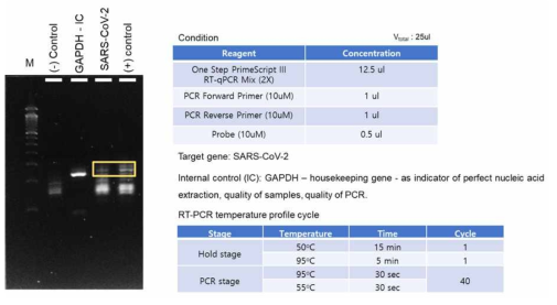 PDMS 디스크 칩을 이용한 시료 전처리 한 샘플 이용하여 RT-PCR 후 확인한 젤 전기영동 결과