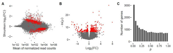 RNA profile differentiation between LSD carriers and non-carriers (Genetics in Medicine, 2019)