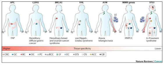 Hereditary Cancer Syndrome (Nature Reviews Cancer 2017, 17)