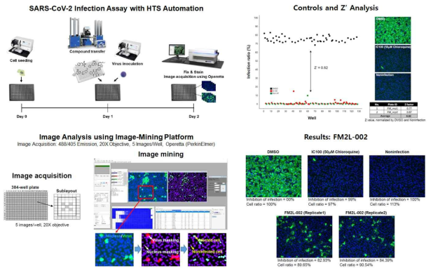 HTS (High-Throughput Screening)을 이용한 뉴클레오사이드 유도체 라이브러리 물질들에 대한 SARS-CoV-2 Infection 모델 (Vero Cell)에서의 바이러스 복제 억제 효능평가에 대한 Work-flow