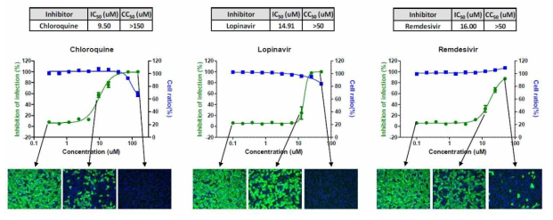 HTS을 이용한 SARS-CoV-2 Infection 모델 (Vero Cell)에서의 바이러스 복제 억제 효능평가 결과 1: Reference Compound들에 대한 IC50와 CC50