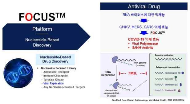 FOCUSTM를 기반으로 한 COVID-19 치료제 개발