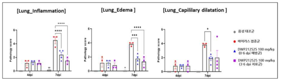 Histologic score (Lung)