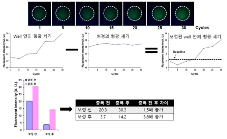 green 형광모듈의 cycle당 형광 신호분석 실험