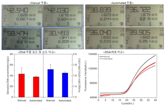 살모넬라DNA 추출 자동화 및 수동 검체 전처리 성능비교 실험 결과