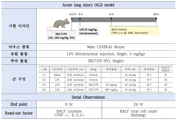 LPS 유도 급성폐렴 마우스 모델 연구 디자인