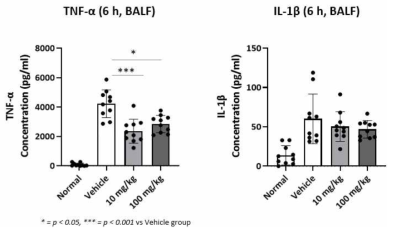 급성폐렴 마우스 모델에서의 proinflammatory cytokine level