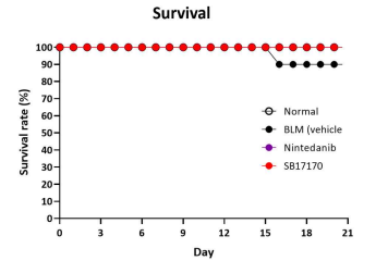 BILF 예방모델에서의 survival rate 그래프