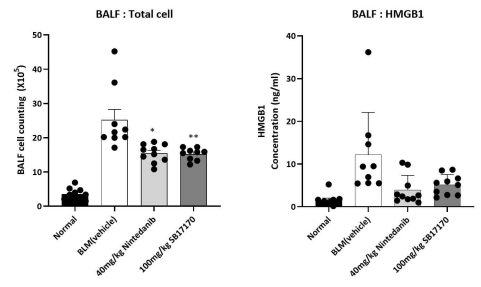 BILF 예방모델의 BALF에서 cell 수와 HMGB1 level 분석